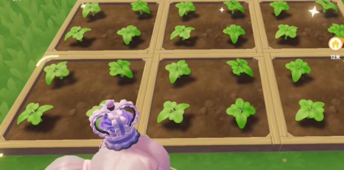 心动小镇花卉怎么杂交2