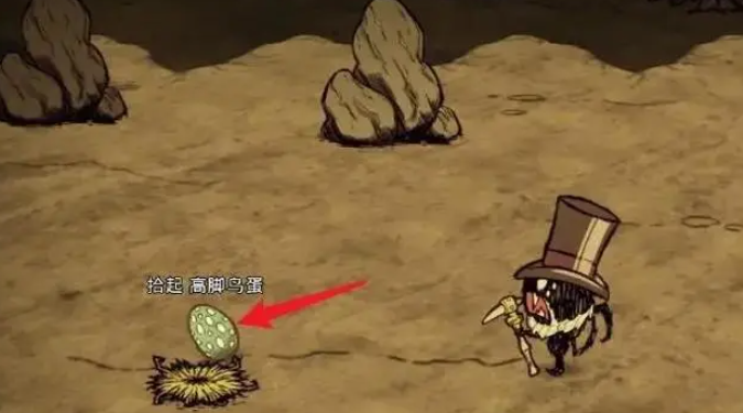 饥荒高脚鸟蛋有什么用1