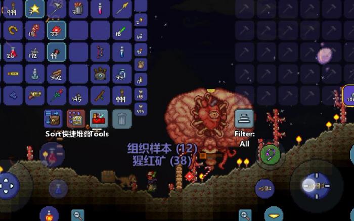 泰拉瑞亚克苏鲁之脑怎么召唤3