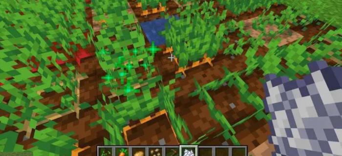 我的世界有哪些农作物3