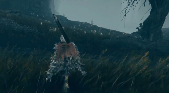 艾尔登法环初次进入DLC要如何探索2