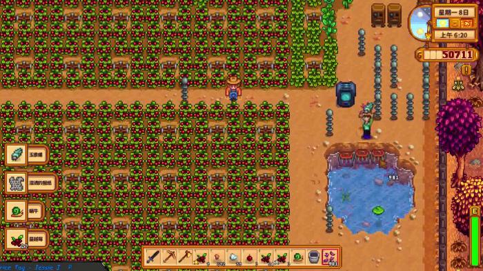 星露谷物语夏秋两季种什么赚钱快2