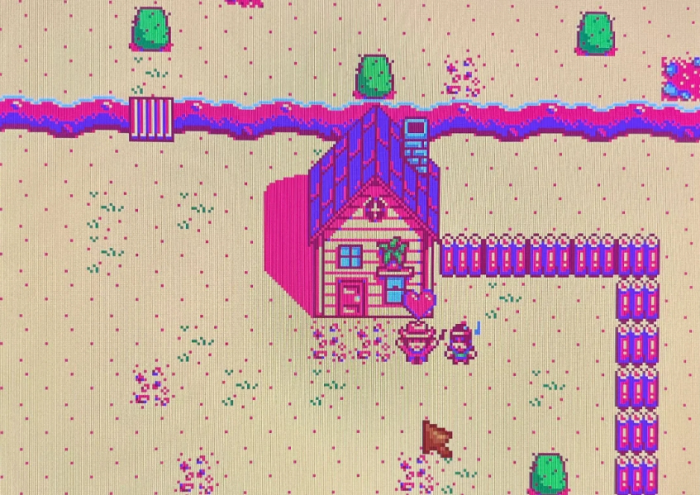 星露谷物语草原大王道具和卡槽怎么选2