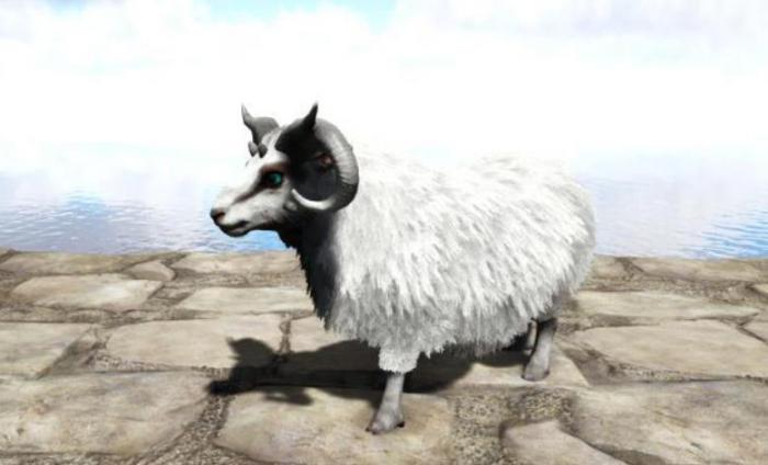 方舟生存进化绵羊怎么驯服1