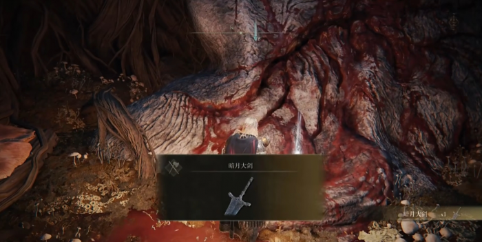 艾尔登法环有哪些好用的失色大剑3