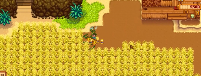 星露谷物语小麦的收益怎么样3