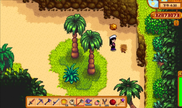 星露谷物语姜岛在哪里去3