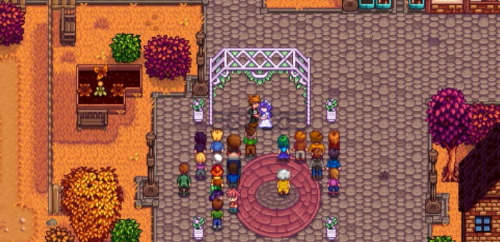 星露谷物语小孩有啥用1