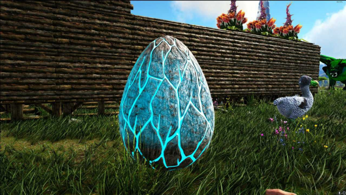 方舟生存进化中如何孵化龙蛋1