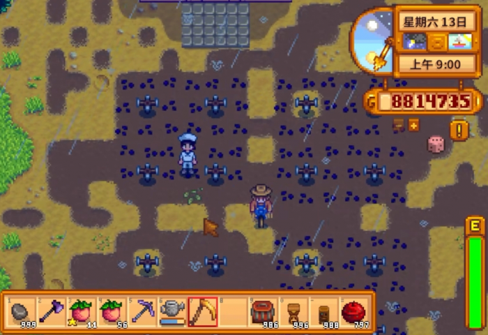 星露谷物语夏天种什么3