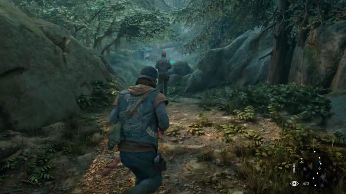 往日不再植物有什么用3