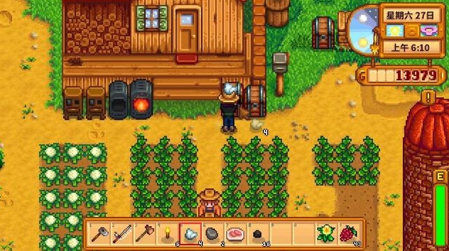 星露谷物语齐钻商店在哪1