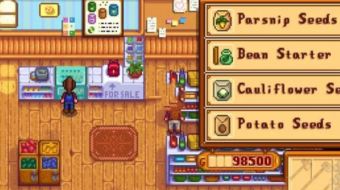 星露谷物语齐钻商店在哪2