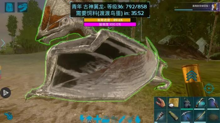 方舟生存进化古神翼龙在哪里抓3