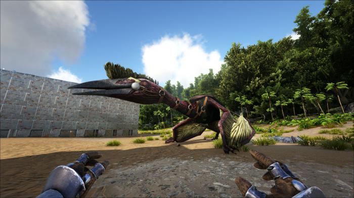 方舟生存进化翼龙怎么飞起来2