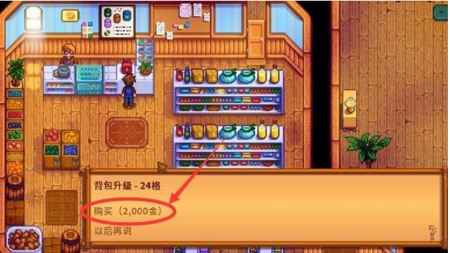 星露谷物语背包怎么扩充2