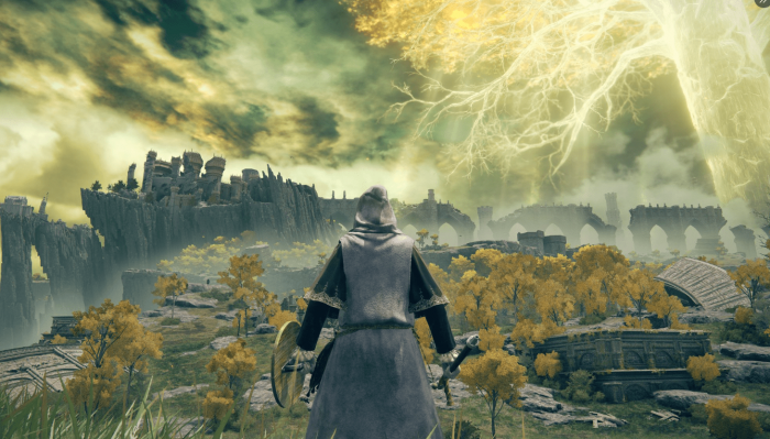 艾尔登法环观星者初始属性怎么用2