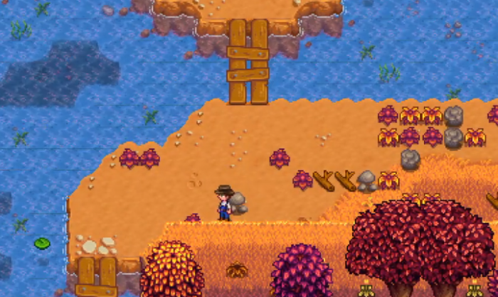 星露谷物语怎么触发海莉9心事件2