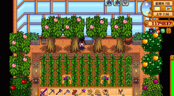 星露谷物语桃子有什么用3