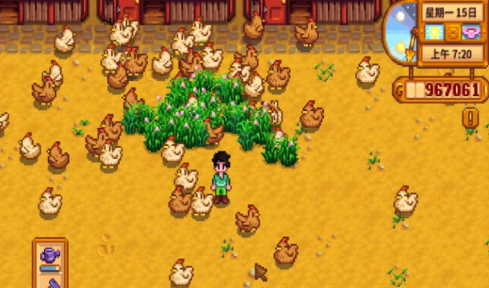 星露谷物语养鸡怎么赚钱2