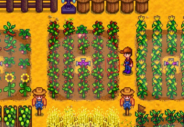 星露谷物语洒水器怎么用2