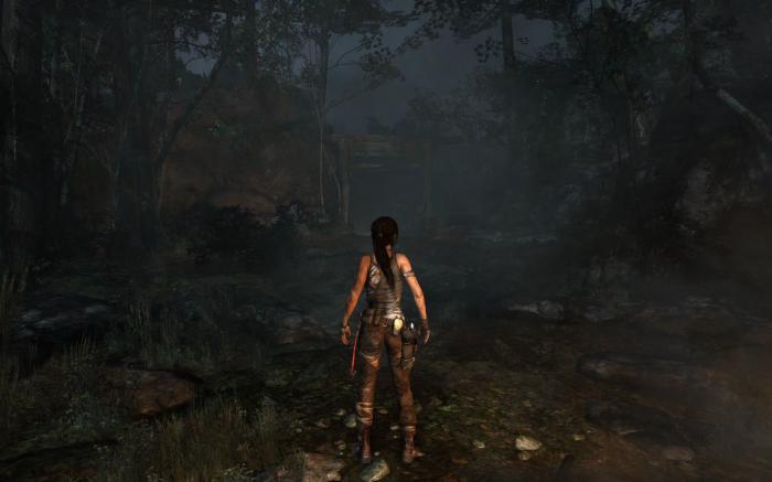 古墓丽影9狼洞怎么过3