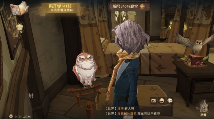 哈利波特魔法觉醒猫头鹰哪个好2