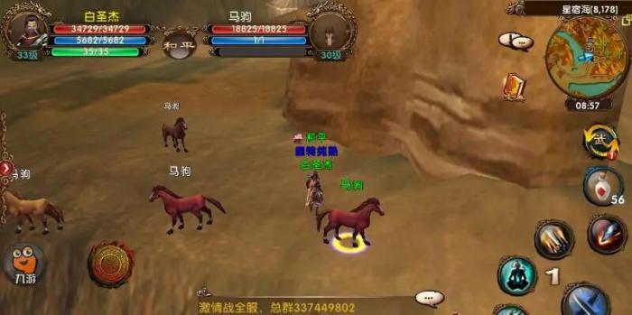 卧虎藏龙西域段公子的书怎么用3