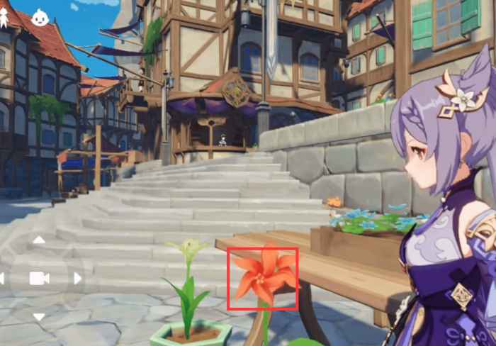 原神风车菊在哪里3