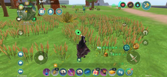 创造与魔法春日海岸小麦圈在哪里2