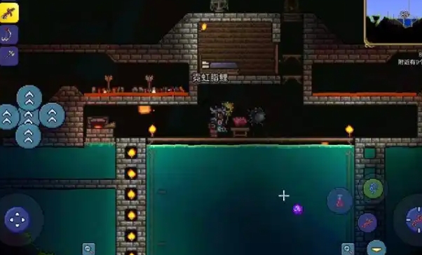 泰拉瑞亚商人有什么用3