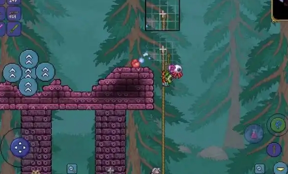 泰拉瑞亚骷髅商人有什么用2