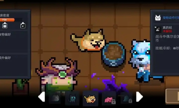 元气骑士带什么宠物好2