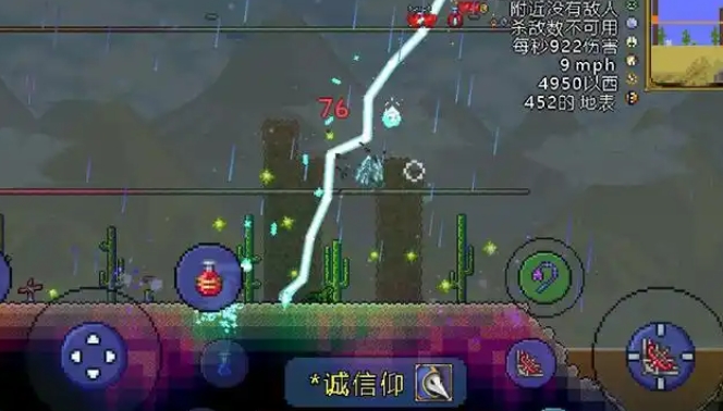 泰拉瑞亚有哪些稀有宠物1