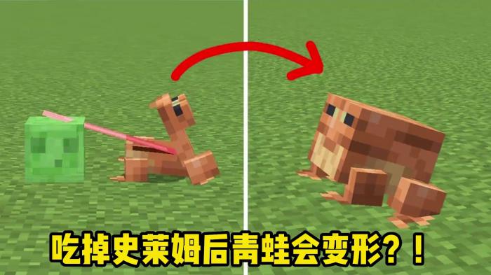 我的世界青蛙怎么用2