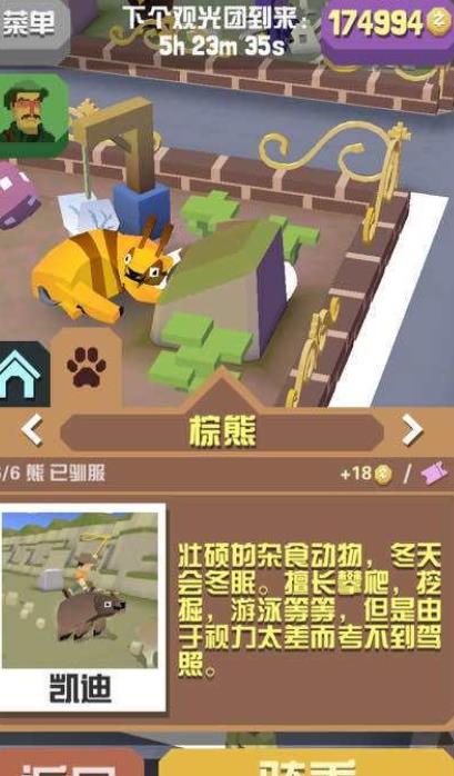 疯狂动物园所有熊怎么抓1