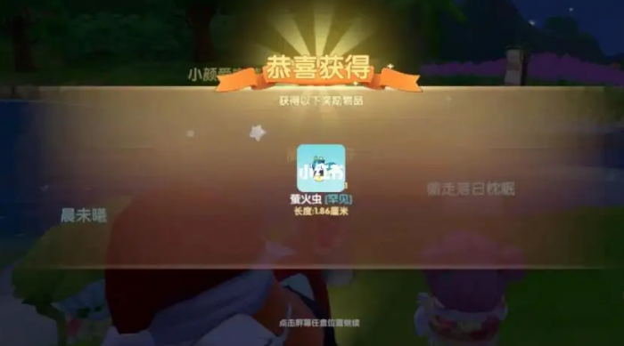 摩尔庄园手游怎么抓萤火虫2