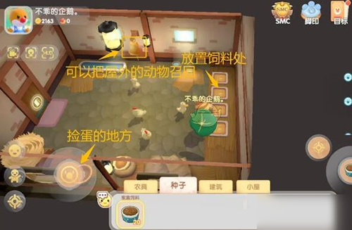 摩尔庄园怎么自动化收鸡蛋3