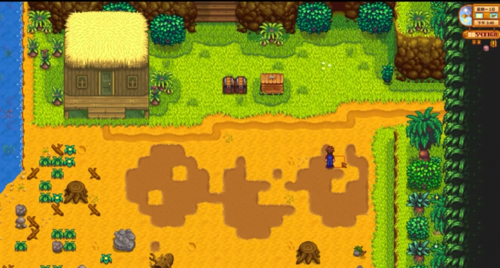 星露谷物语姜岛上有什么1