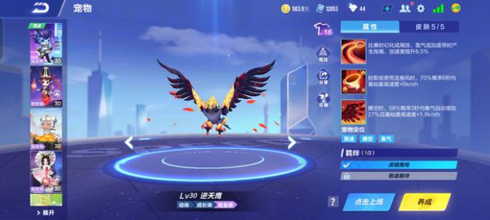 qq飞车许愿哪个宠物好1