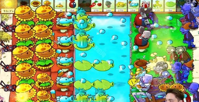 《植物大战僵尸杂交版》冒险模式第41关通关攻略4