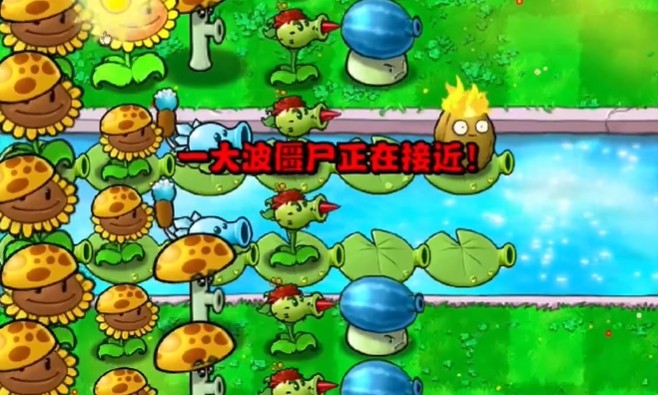 《植物大战僵尸杂交版》冒险模式第12关通关攻略6