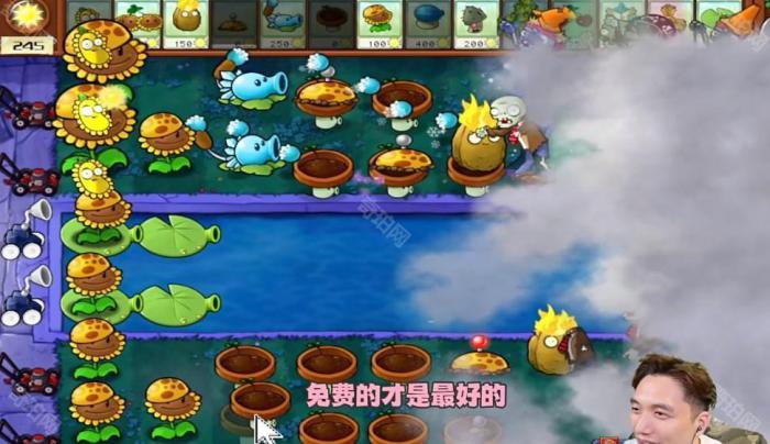 《植物大战僵尸杂交版》冒险模式第20关通关攻略3