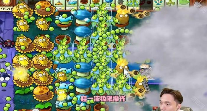 《植物大战僵尸杂交版》冒险模式第20关通关攻略6