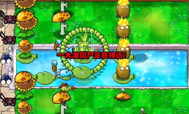 《植物大战僵尸杂交版》冒险模式第13关通关攻略3