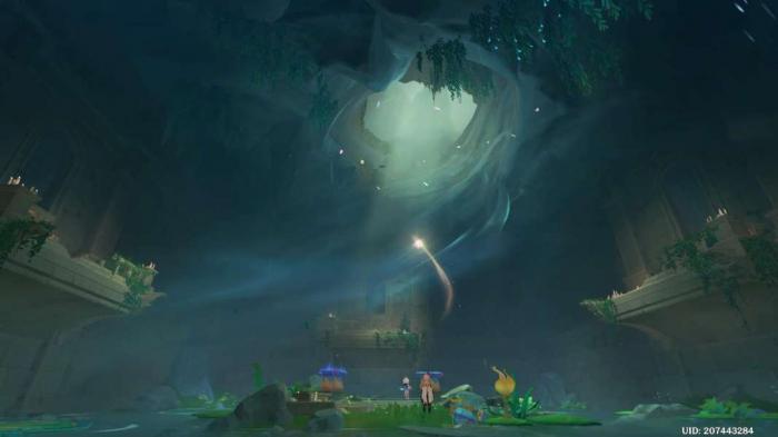 《原神》世界任务荷叶与森林的答案攻略8