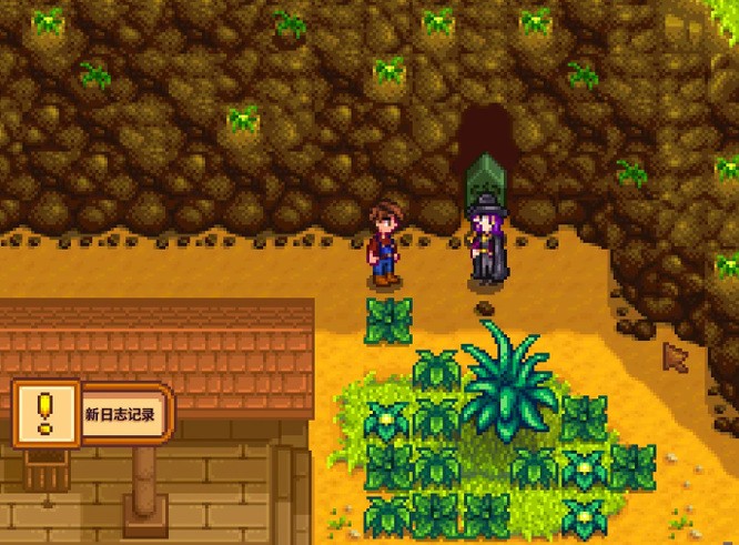 《星露谷物语》下水道另一个洞开启方法4