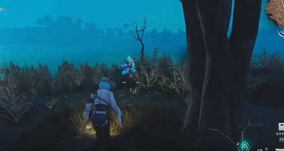 七日世界宁静帷幔怎么使用5