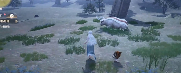 无限暖暖裙撑萤在哪捕捉1