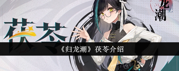 归龙潮茯苓怎么样1